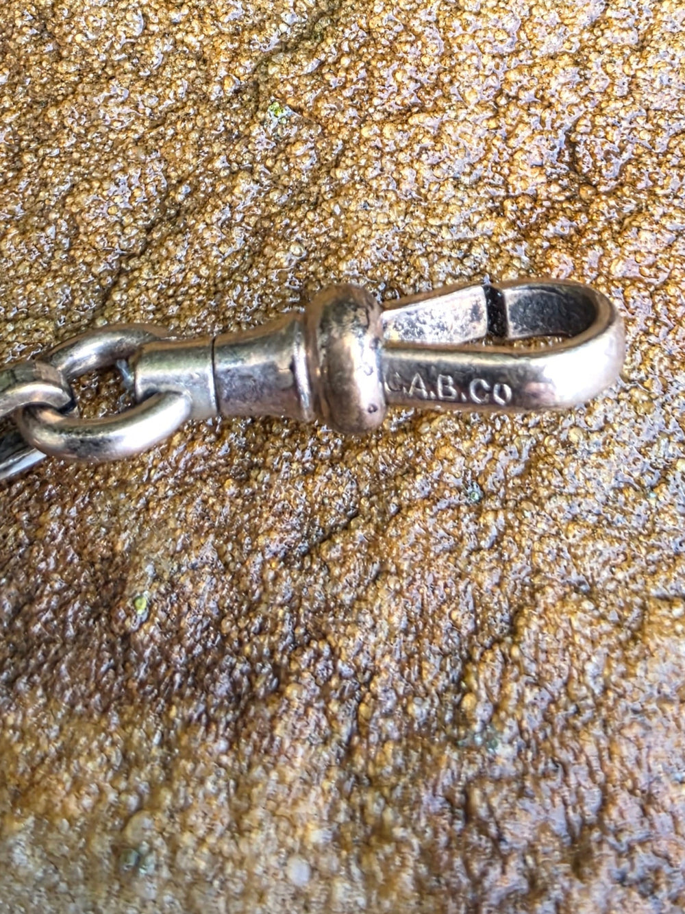 Antique Albert Chain / Kukui nut Gold Filled Watch Chain / Edwardian Gold Filled Watch Chain