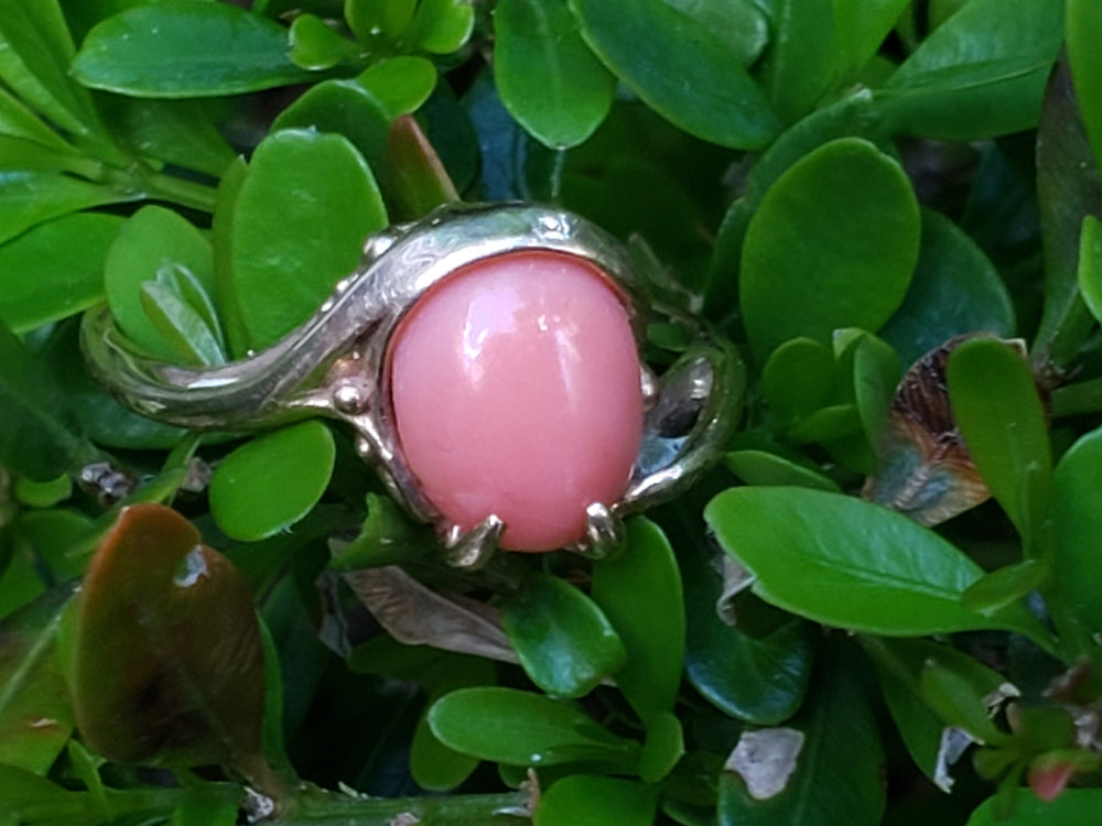 Angel Skin Coral Ring / 10K Yellow Gold and Natural Pink Coral Ring
