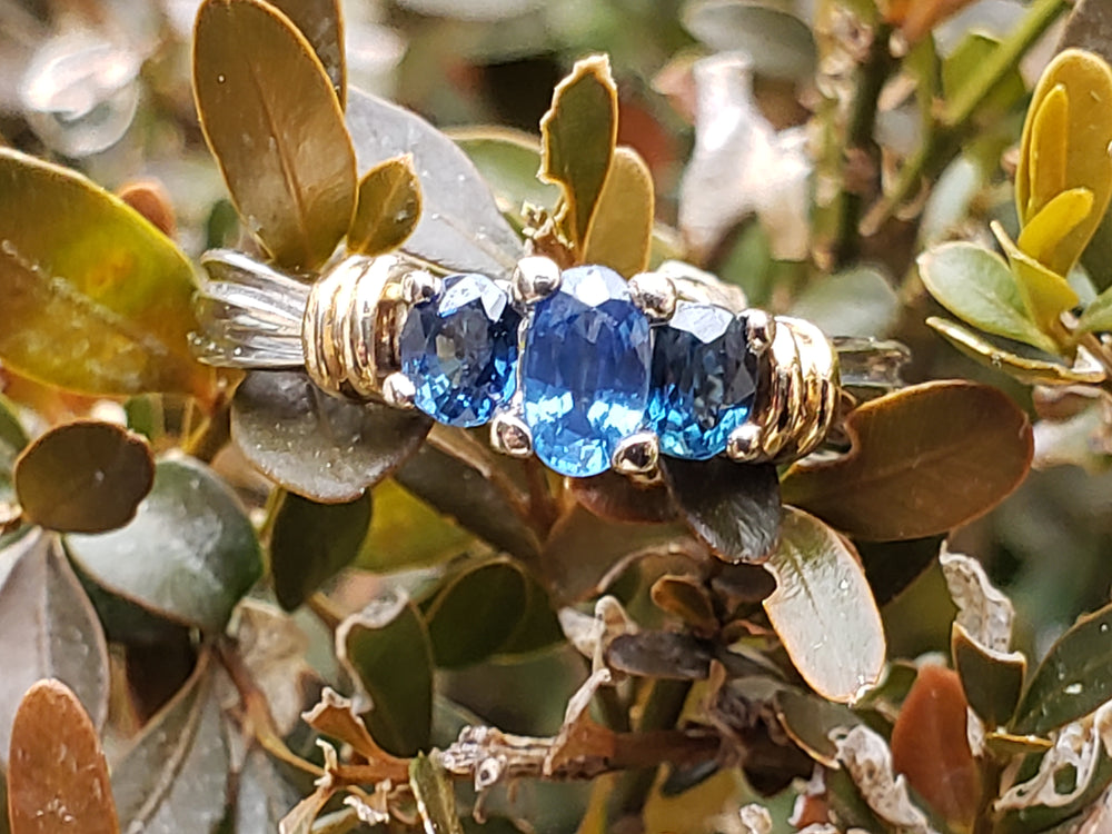 Sapphire Three Stone Ring / Past Present and Future Ring / Appraised Jewelry / September Birthstone