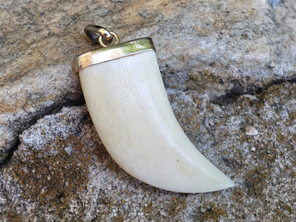 Claw Pendant