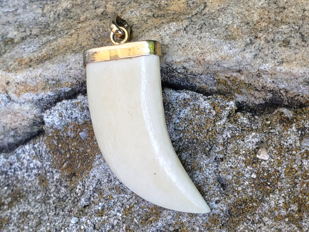 Claw Pendant
