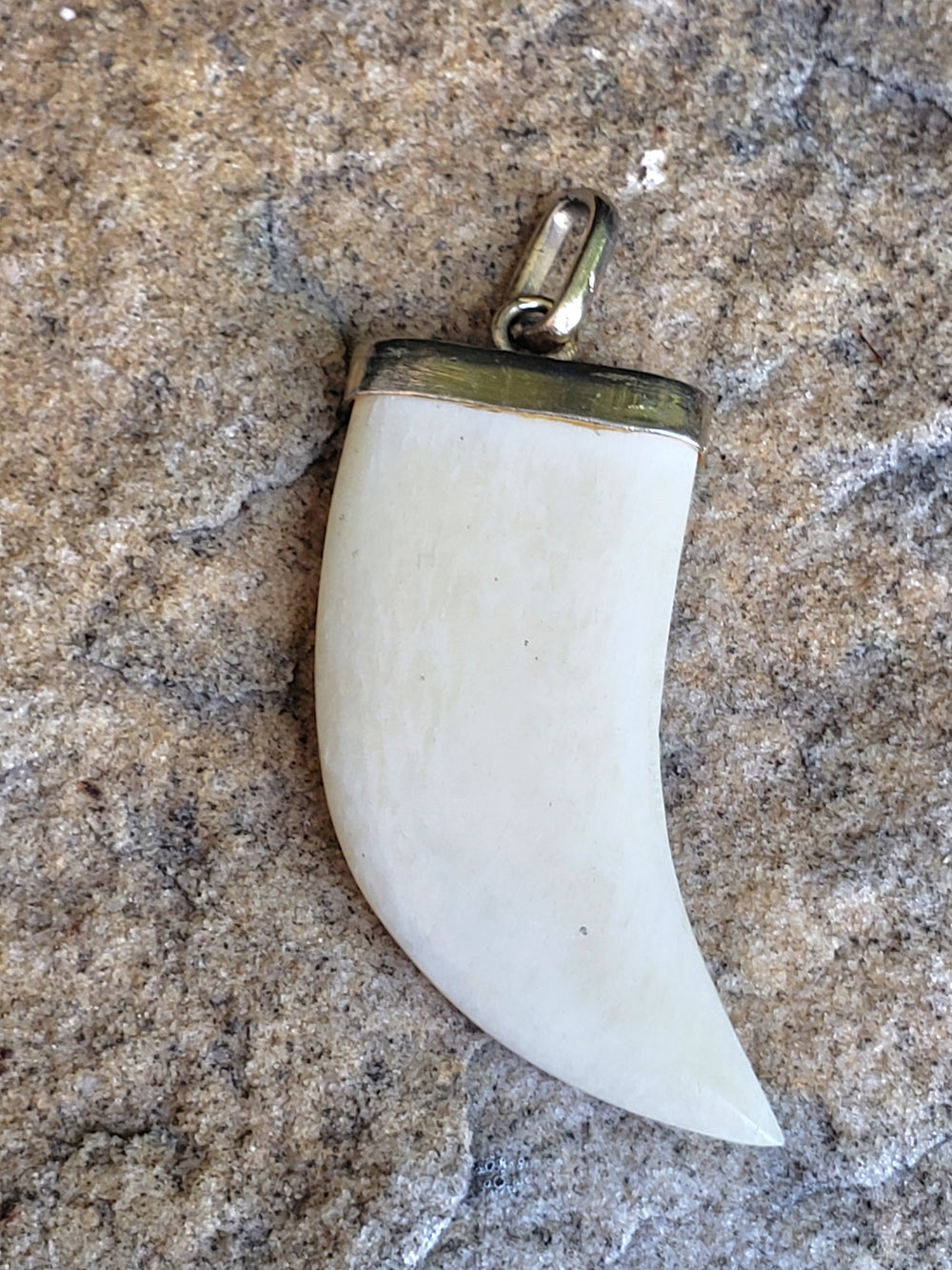 Claw Pendant