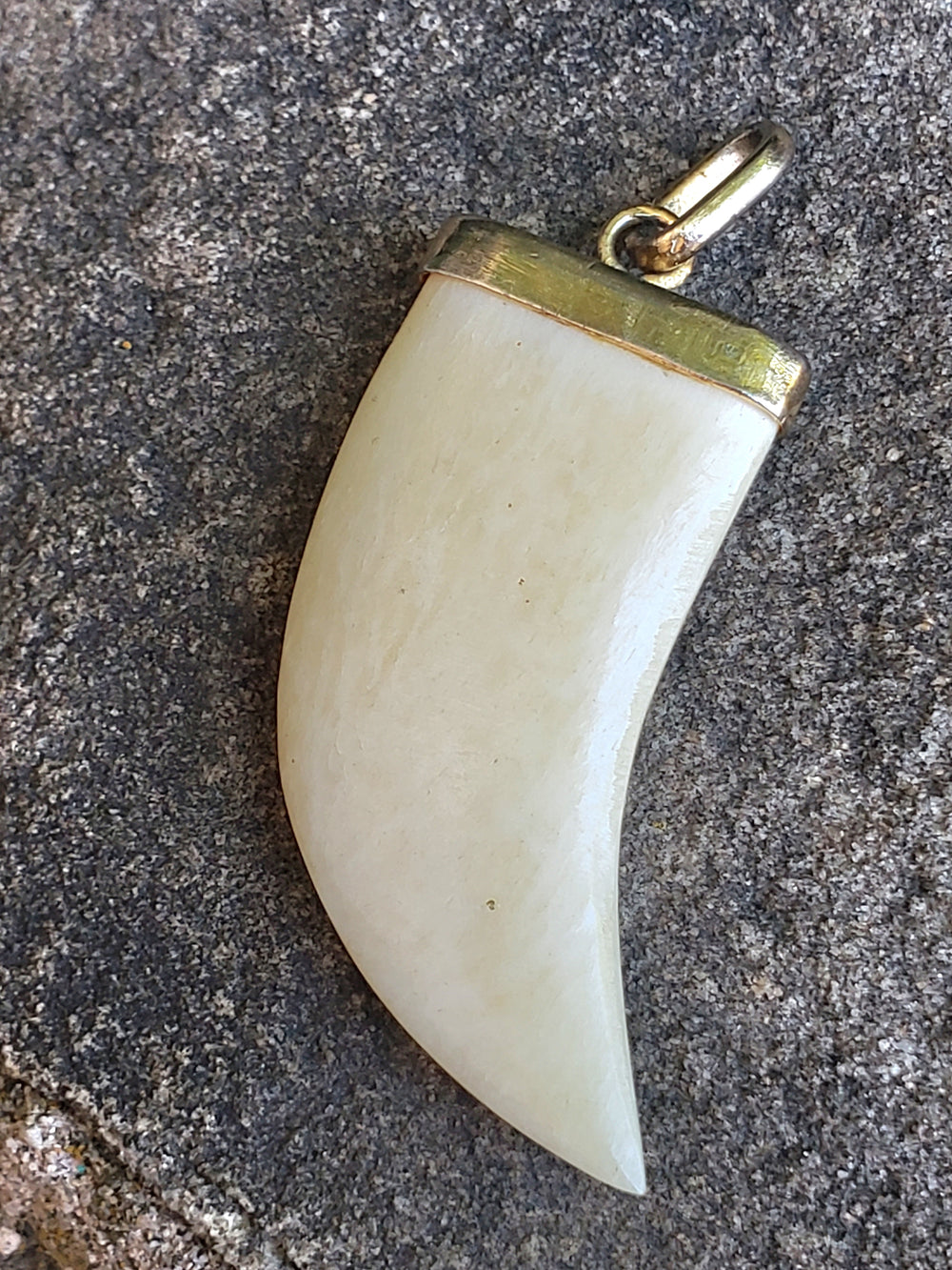 Claw Pendant