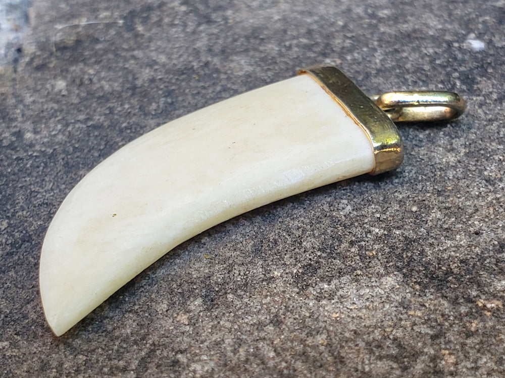 Claw Pendant