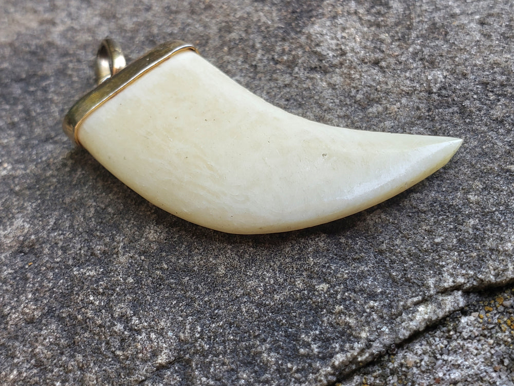 Claw Pendant
