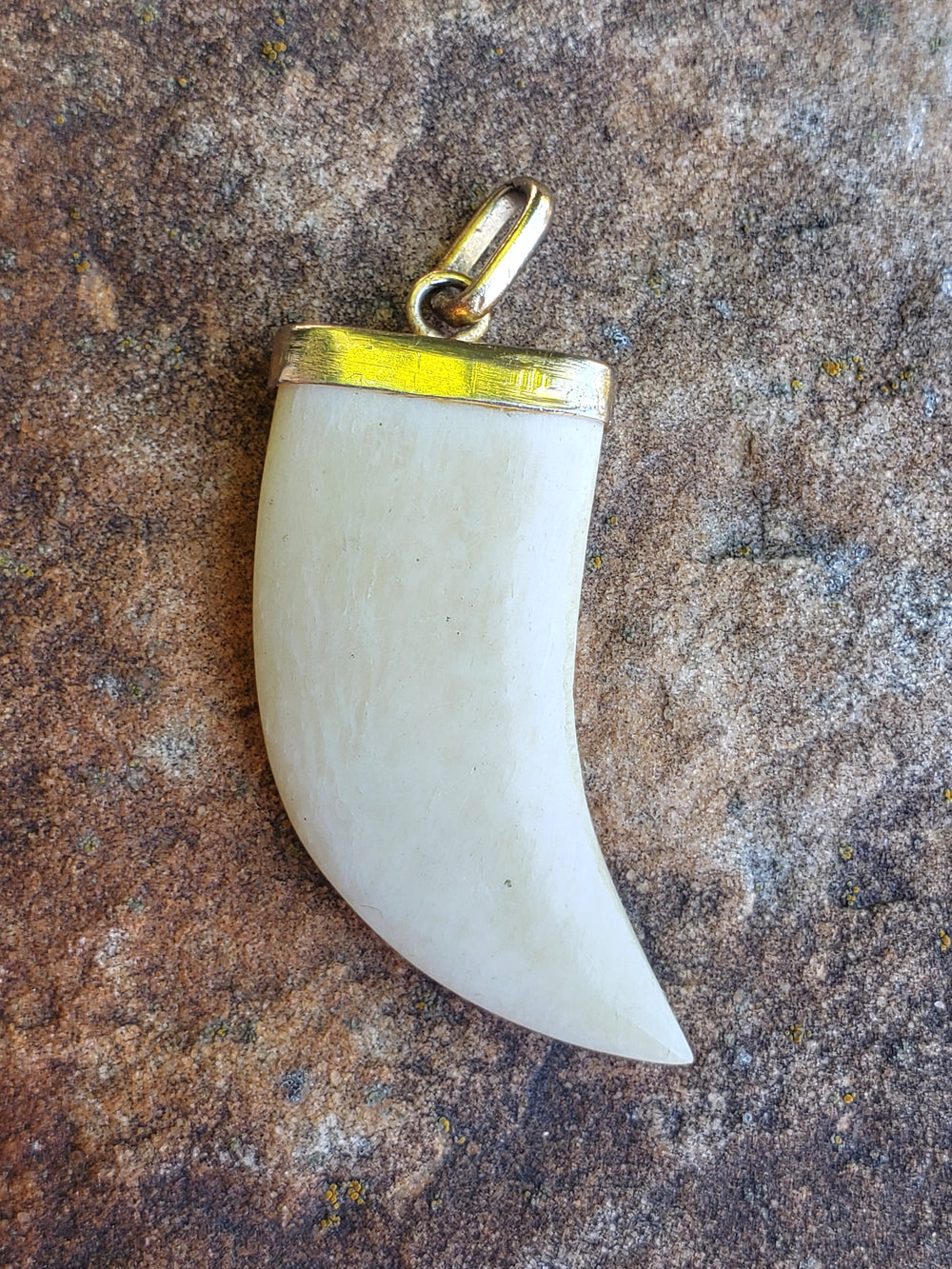 Claw Pendant
